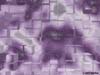 Purple Blocks