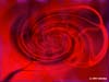Red Swirl